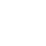 manifesto